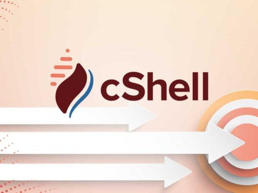 cShell Consulting, Inc